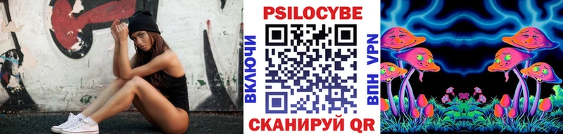 Купить закладки  Мичуринск  Галлюциногенные грибы Psilocybine cubensis 